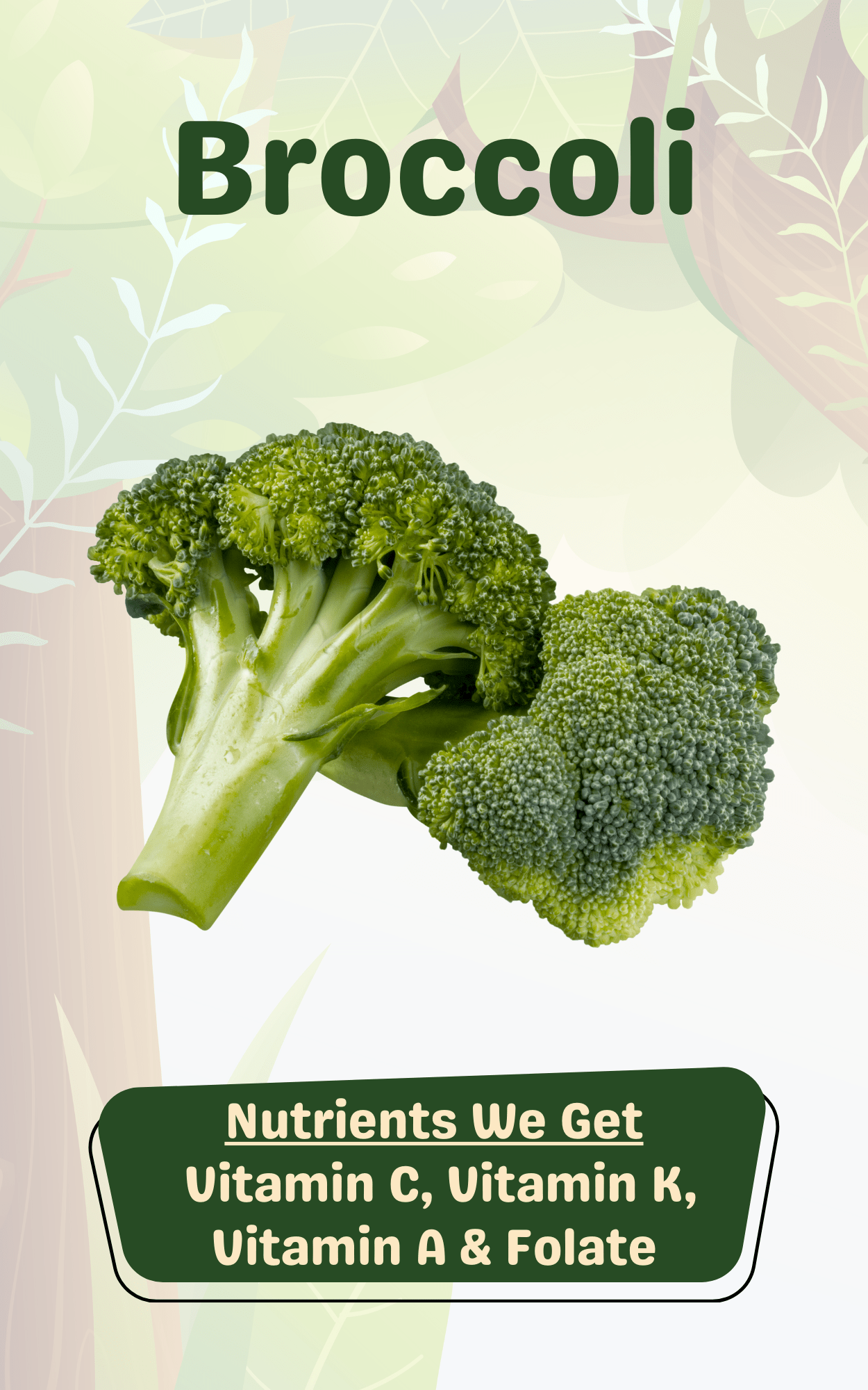 Learn Fruits & Vegetables With Nutrients - Nutribud Foods