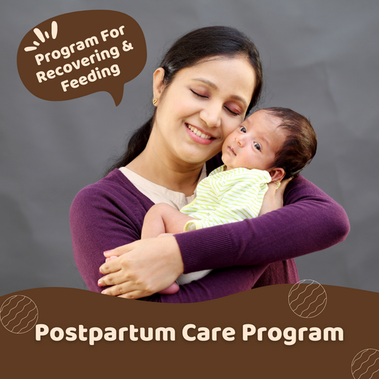 Postpartum Care Program