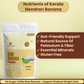 Raw Banana Powder (Kerala Nendran Banana) | Pack of 2 (200g Each) - Nutribud Foods